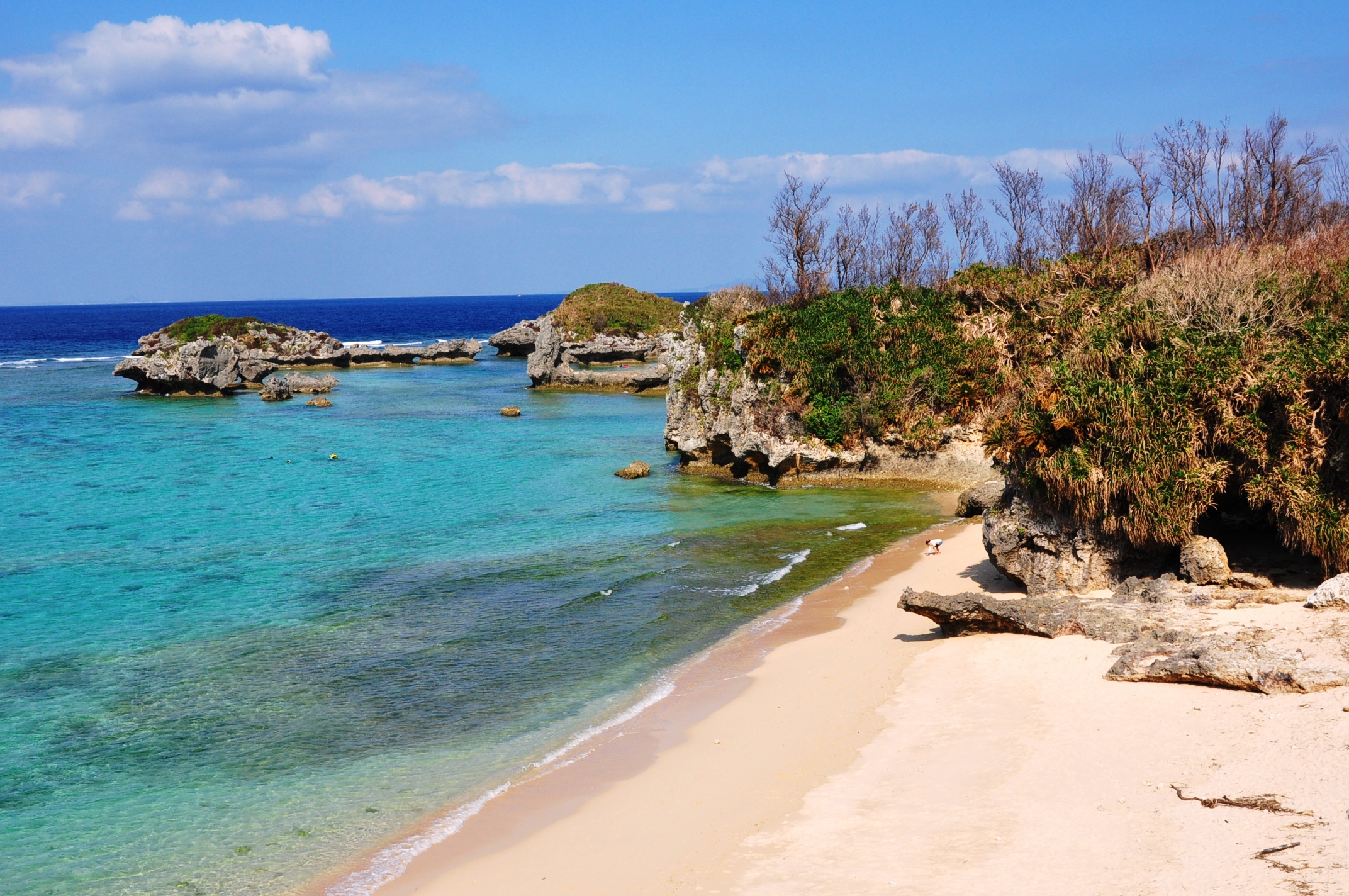 海岸風景の写真